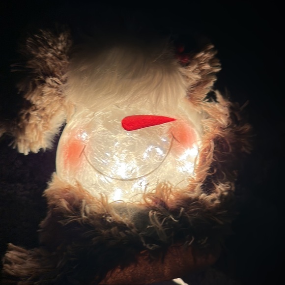 Brand new Stony Creek Snow Man face  lights - Picture 9 of 9